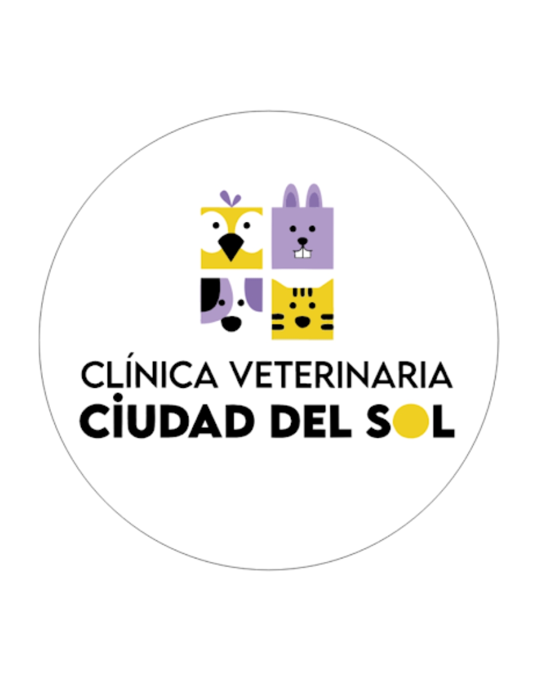 Veterinaria atendiendo a una mascota con cuidado y profesionalismo